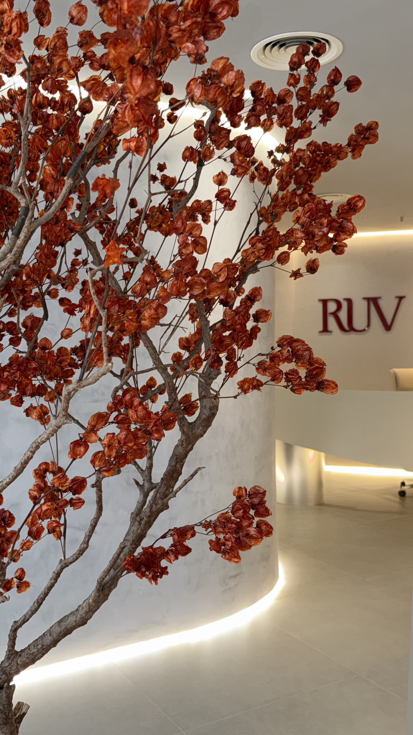 Recepção da RUV Clinic